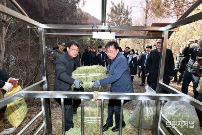 <급이대먹이공급(국가유산청장, ‘25.2.)