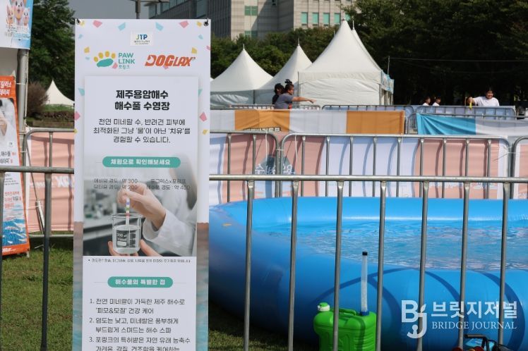 반려동물 전용 웰니스 수영장