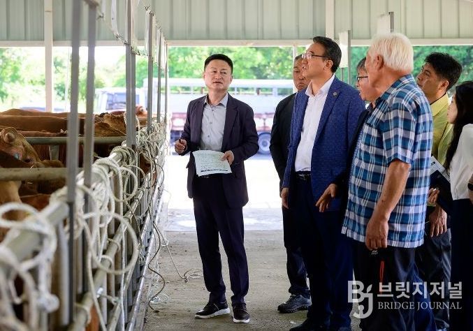 서귀포시 가축시장 방문한 오순문 시장