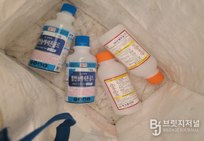 후숙・강제착색에 이용된 생장조정제와 수산화칼륨