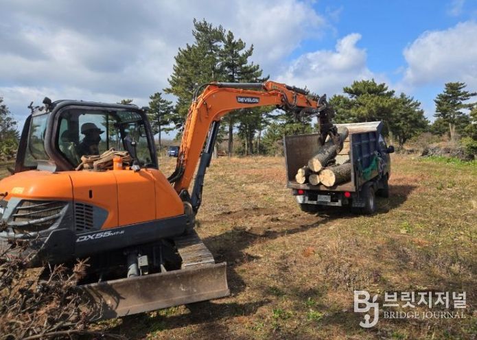 소나무재선충병 방제사업