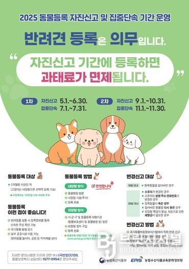 양천구, 2025년 동물등록 자진신고 기간 안내 포스터