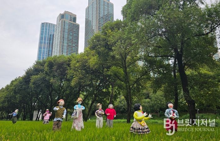 양재천 벼농사 체험장의 허수아비