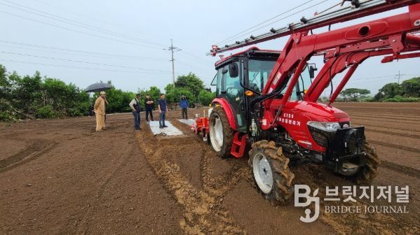 마늘 기계 파종