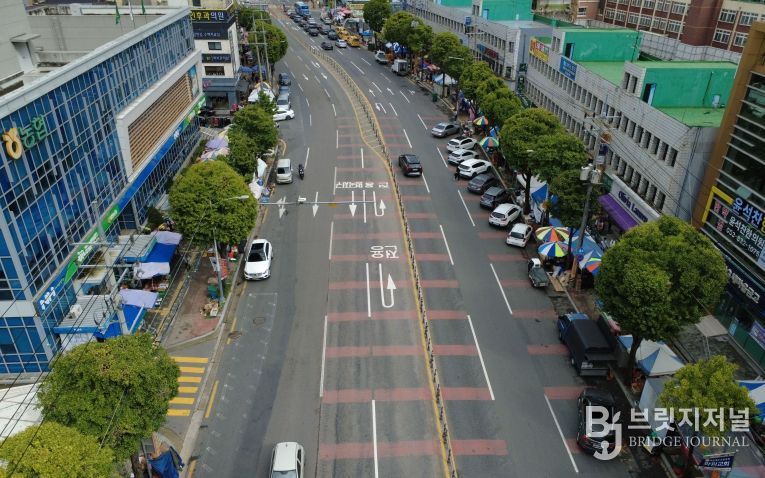 달성군 가로수 테마전정(원형 전지한 화원읍 구간)