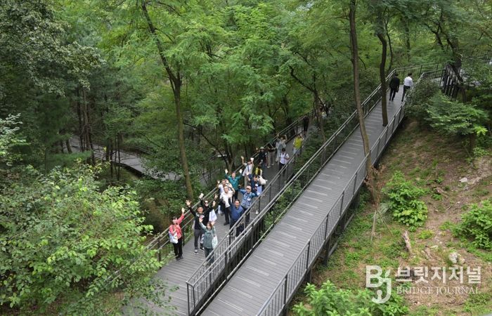 홈즈리더 남산자락숲길 산책