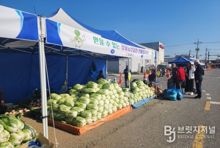 강화군, 지역 농가와 함께하는 김장시장 운영… 이달 28일까지 판매자 모집