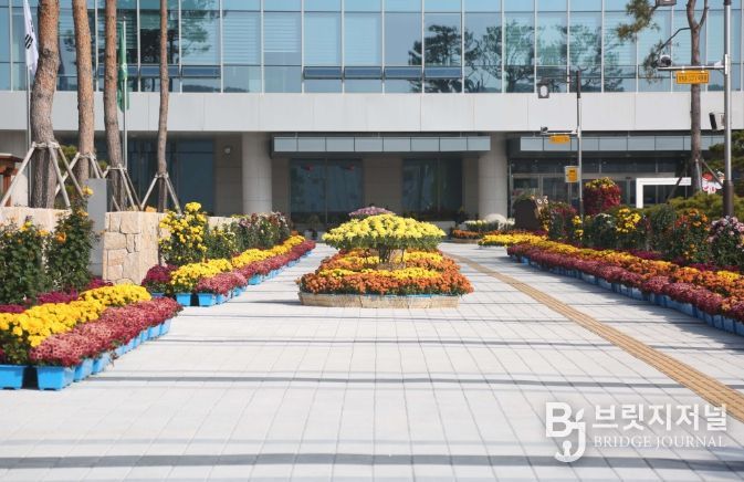 국화 6500여점·볏집아트·포토존 선보여