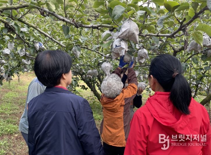 가을 야유회‘달콤한 기억 담기