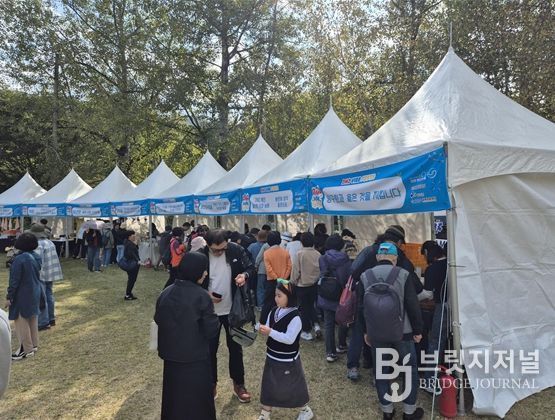양구 감성 축제