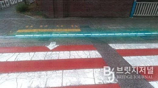 묵호역사거리 등 3곳에‘바닥형 보행신호등’ 설치