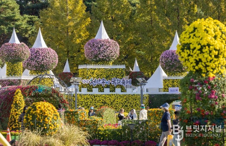 전국을 물들인 익산 천만송이 국화축제 대흥행