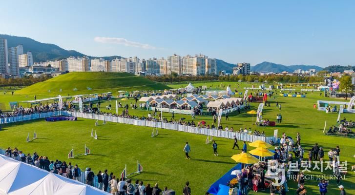 2025년 반려동물 문화한마당 행사장 전경