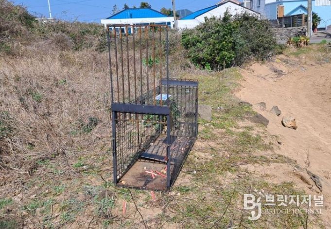 유기견·방견 포획틀