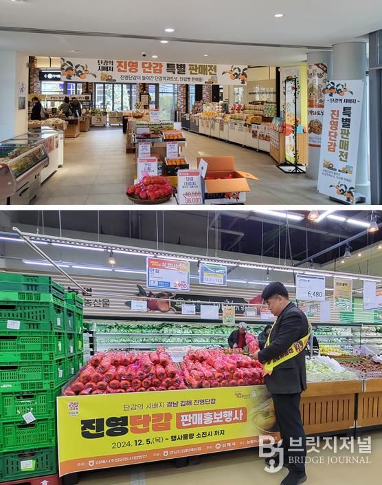 김해시, 진영단감 온·오프라인 판촉행사 개최