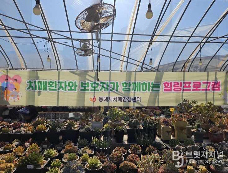 가을맞이 자연과 함께하는‘야외 힐링프로그램’운영