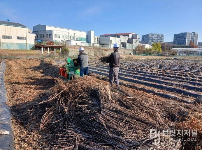 1. 천안시농업기술센터 영농부산물 파쇄지원단이 농가에 방문해 파쇄 작업을 진행하고 있다.