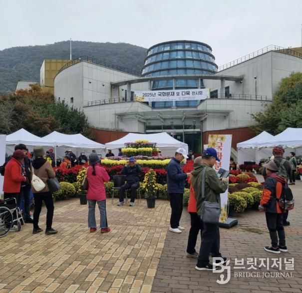 동두천시 국화교육반·다육사랑연구회, ‘2025년 국화 및 다육 전시회’ 성황리 개최