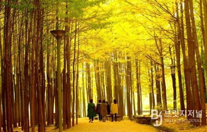 서울숲 숲속길
