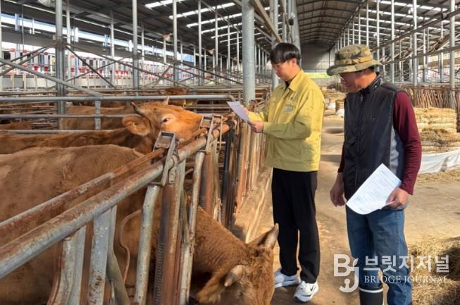 순창군, 동절기 대비 축산분야 재해 예방 현장점검 강화