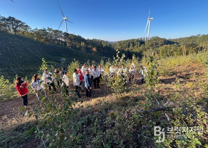 한몽그린벨트사업 한국연수단 견학(목재수확 조림지)