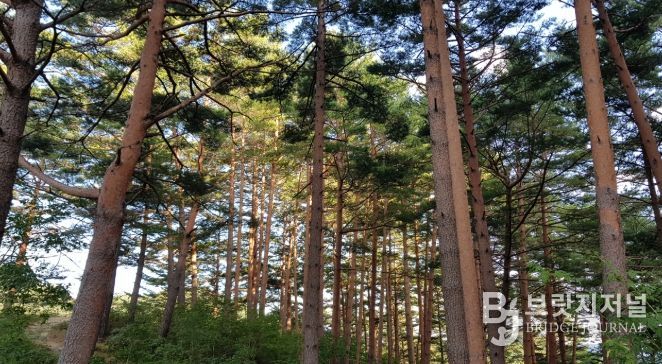 울진금강송 산지농업, FAO 세계중요농업유산 인증서 수여