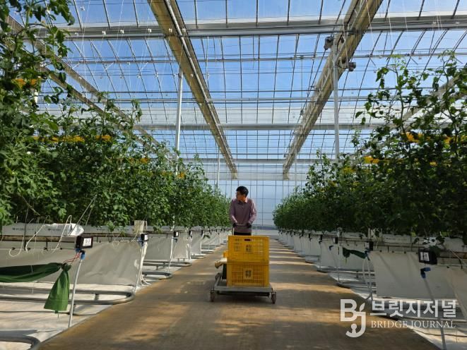 남원시, 26년 청년창업 스마트팜 패키지 지원사업 예산확보