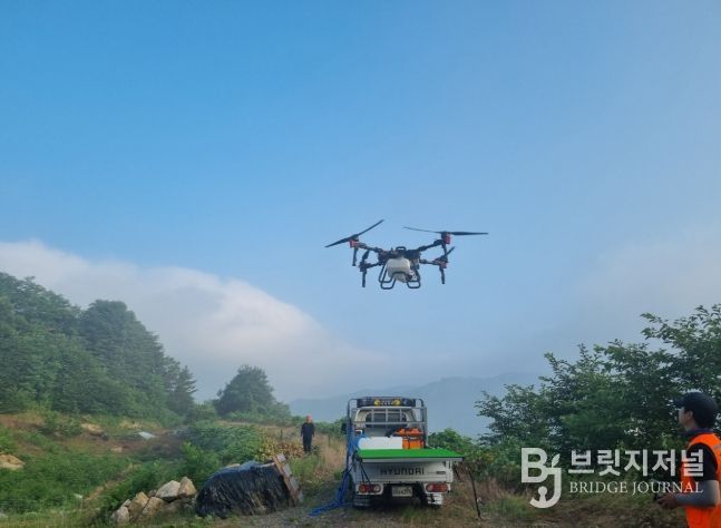 하동군, 밤나무 드론 방제