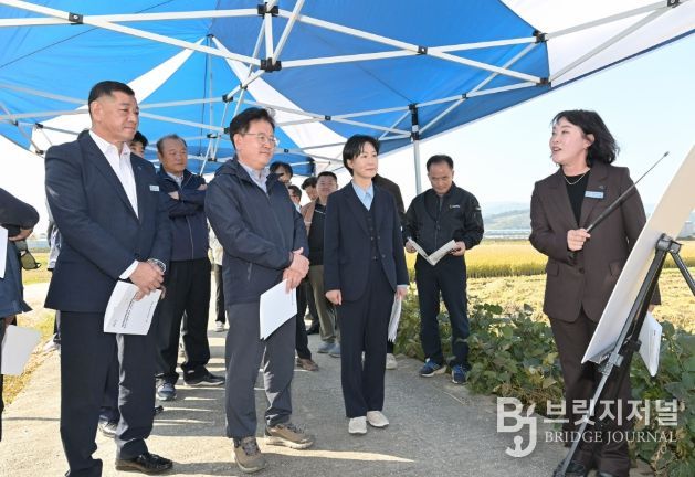 공주시 벼 수확·수매 현장 방문