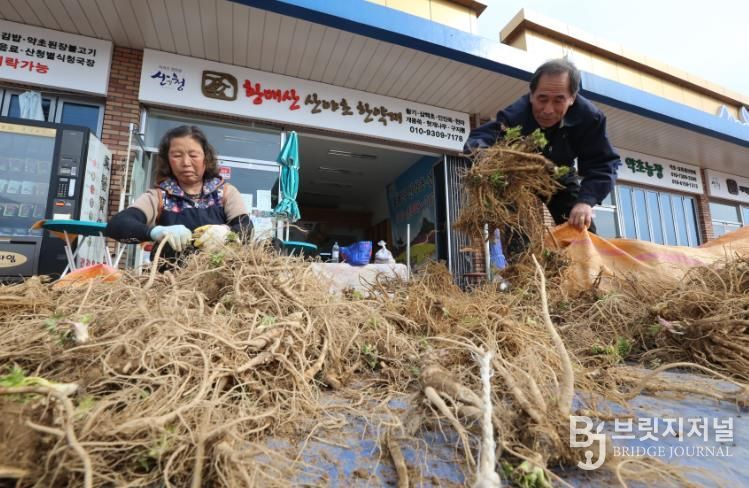 산청군, 동의보감촌 약초 판매장터 운영