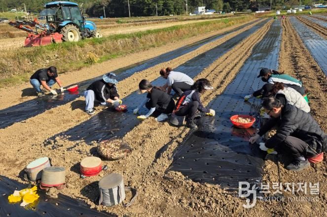 고성군청 주민생활과, 가을철 농촌일손돕기에 나서
