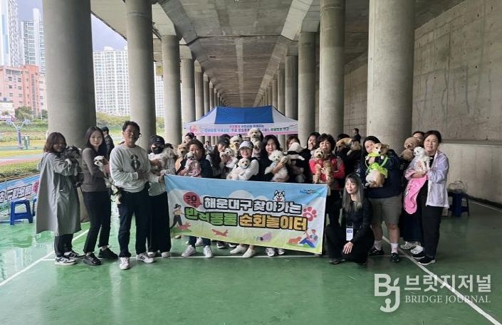 해운대구 반려동물