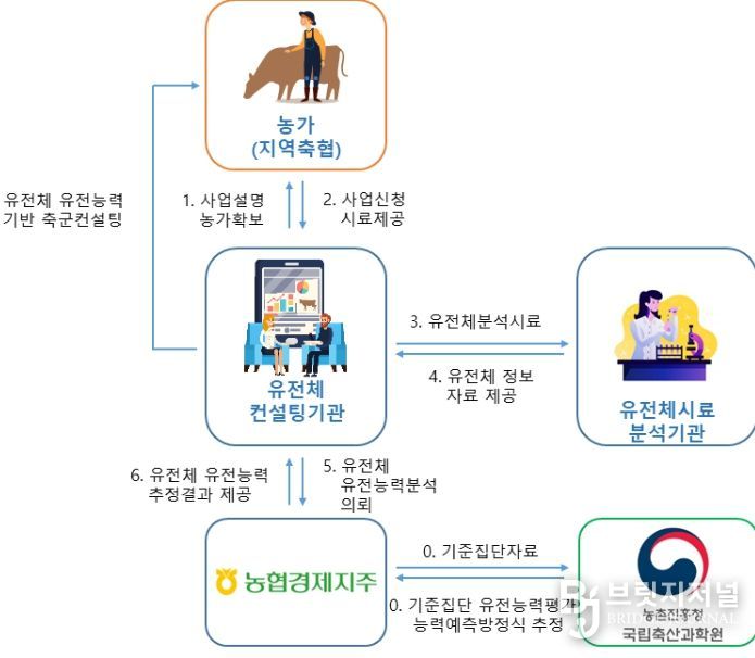 한우 암소 유전체 유전능력 예측 서비스 체계도