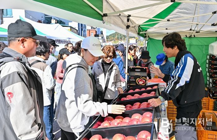 2024년 사과축제 사진