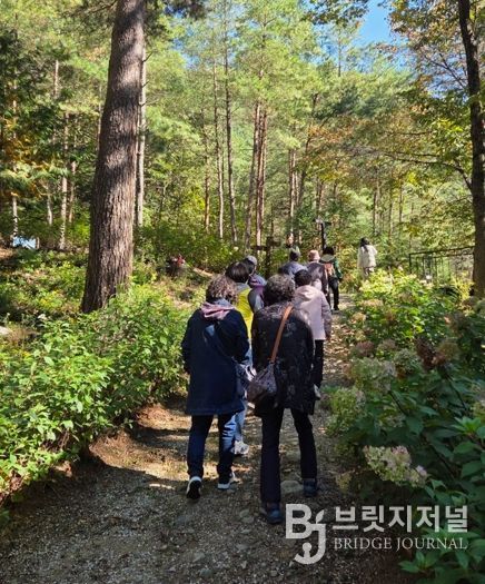 태백시, 치매환자·보호자 야외치유 프로그램 운영