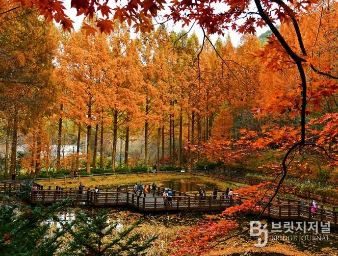 장태산휴양림 한 달간 교통대책 추진