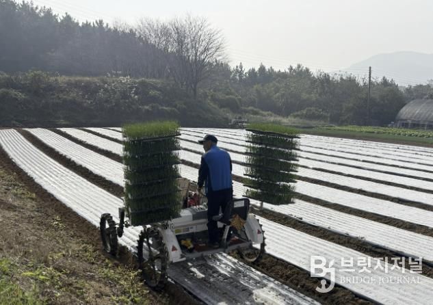 7일 태안읍 도내리에서 진행된 시연회 모습.