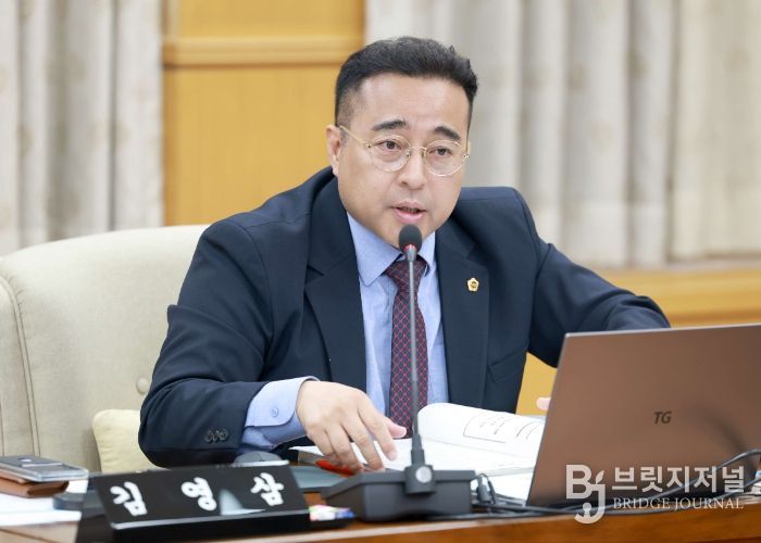 김영삼 대전시의원