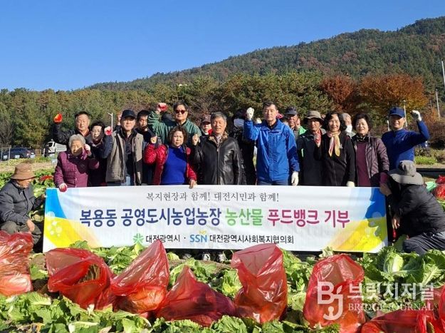 “올해는 드림텃밭에 배추와 무가 자랐어요”