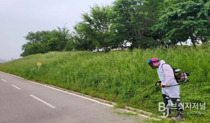 청주시, 무심천 등 국가하천 풀깎기 정비사업 완료