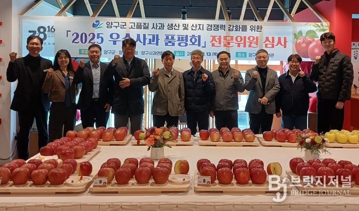 양구 우수 사과 품평회, 이성일 씨 2년 연속 대상 영예