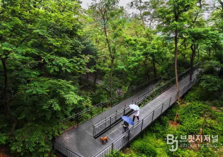 남산자락숲길 산책길