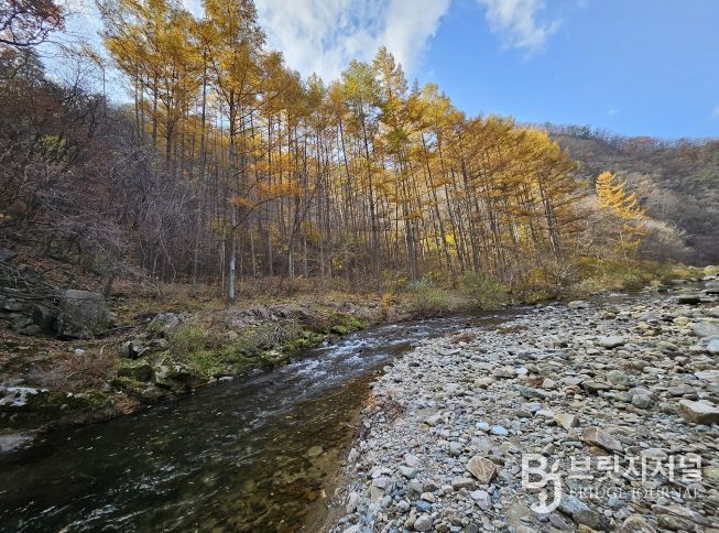 육송정 삼거리 물놀이장 전경