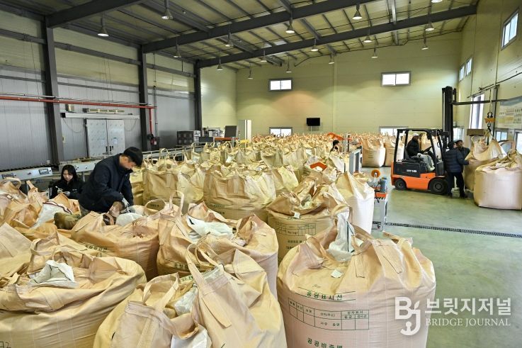 정선군, 쌀 수급 안정 위해 2025년 공공비축미곡 677톤 매입