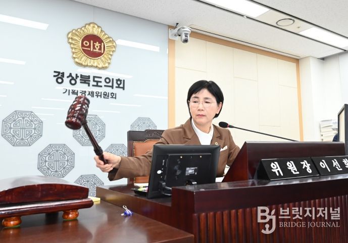 기획경제위 회의장에서 회의를 진행하는 이선희위원장