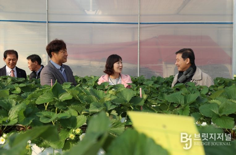 진안군, 부귀면 딸기・샤인머스캣 농가 방문으로 현장행정