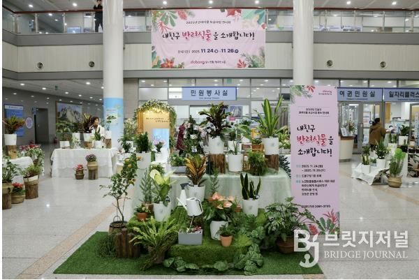 2025년 반려식물 전시회 개최 사진