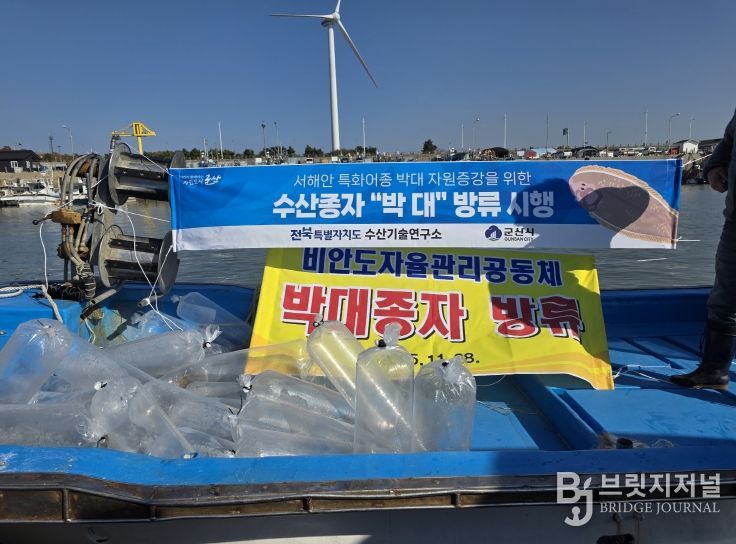 전북자치도, 어린 박대 10만 마리 무상방류