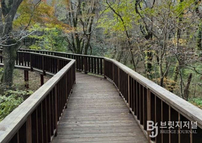 서귀포자연휴양림 무장애나눔길