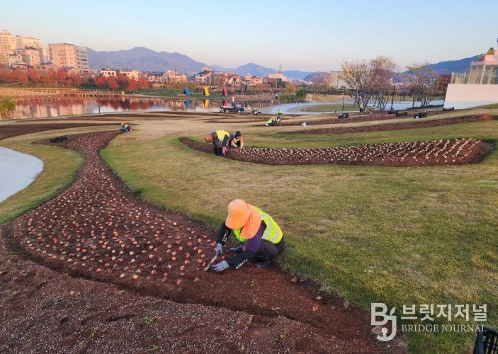 순천시 오천그린광장, 2026년 봄꽃 7만본 식재